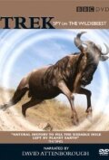 Trek: Spy on the Wildebeest (2007)